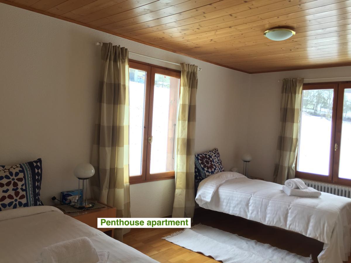 Le Green Chalet Villard-sur-Boege Exterior photo