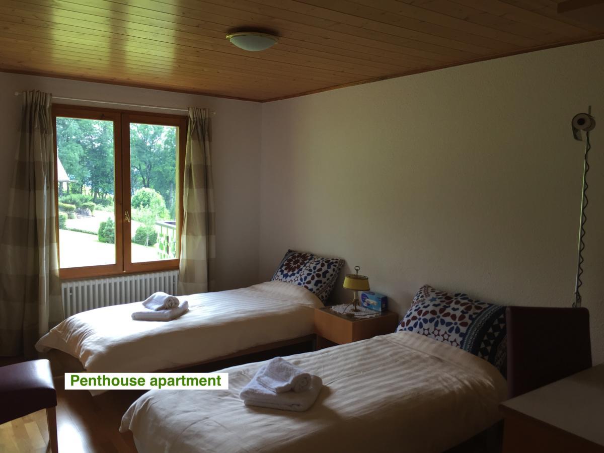 Le Green Chalet Villard-sur-Boege Exterior photo
