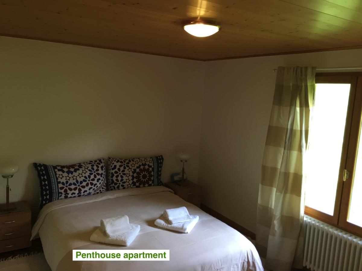 Le Green Chalet Villard-sur-Boege Exterior photo